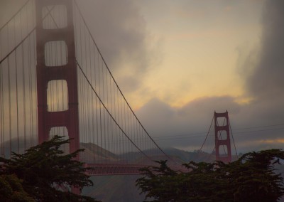 Golden Gate Bridge with Trees